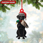 Blisscorners Personalized Hunting Dog Christmas Ornament with Duck - Custom Name Lab Retriever Holiday Decor LM0411