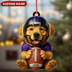 Blisscorners Personalized Football Puppy Christmas Ornament And Keychain, Custom Name Dog in Helmet Holding Ball, Cute Pet Lover Tree Decoration