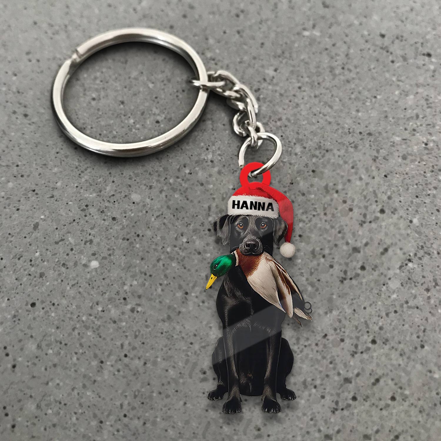 Blisscorners Personalized Hunting Dog Christmas Ornament with Duck - Custom Name Lab Retriever Holiday Decor LM0411