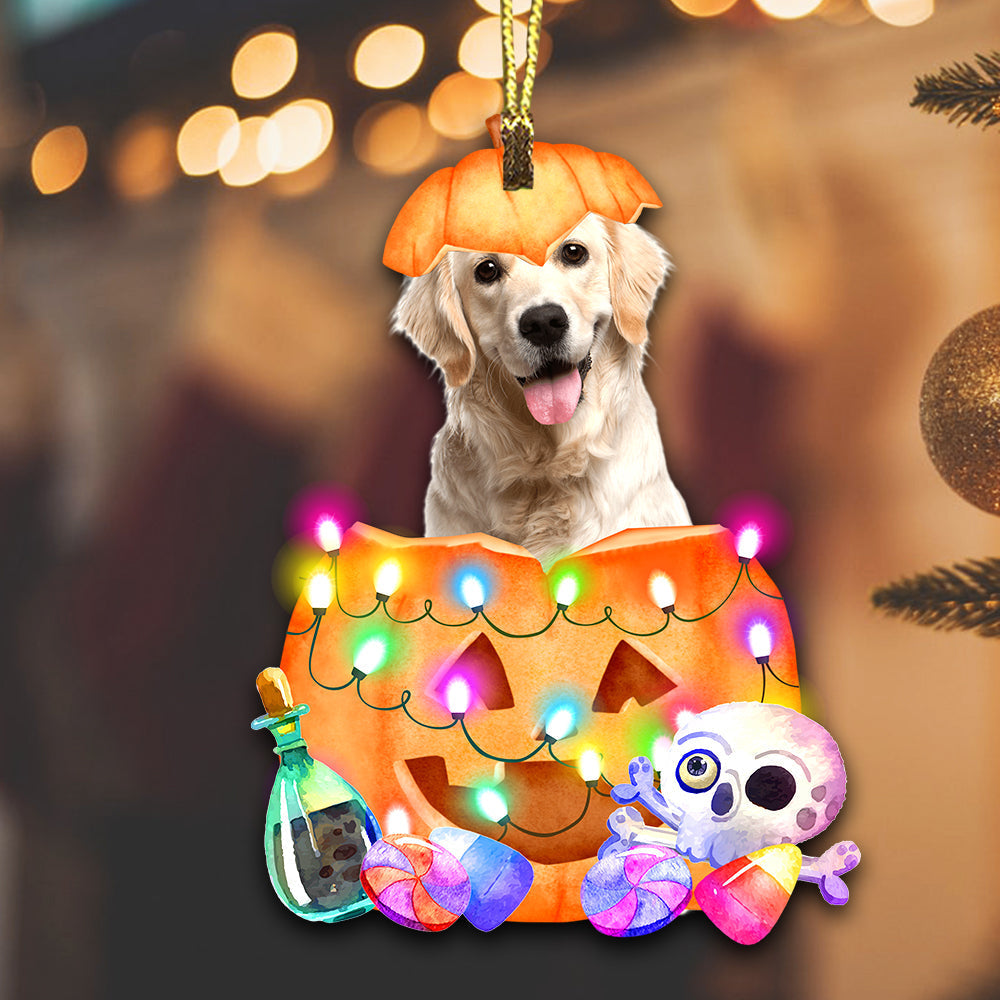 Blisscorners Happy Halloween Pumpkin Pet - Custom Photo, Personalized Acrylic Ornament - Gift For Pet Lover2D Flat LM2111