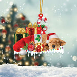 Blisscorners POMERANIAN 2 MERRY CHRISTMAS HANGING ORNAMENT