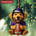 Blisscorners Personalized Football Puppy Christmas Ornament And Keychain, Custom Name Dog in Helmet Holding Ball, Cute Pet Lover Tree Decoration