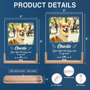 BC-PHOTO-A-DOGS-MOCKUP-7-550C0
