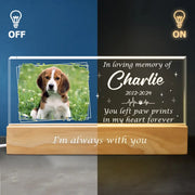 BC-PHOTO-YOU-LE-MOCKUP-5-C8C3D