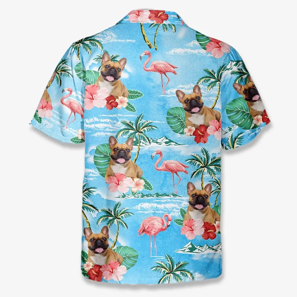 BC-PHOTO-BRING--MOCKUP-7-BEB15