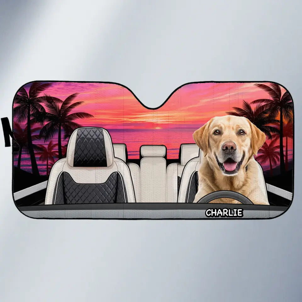 BC-PHOTO-PET-HA-MOCKUP-3-24F79