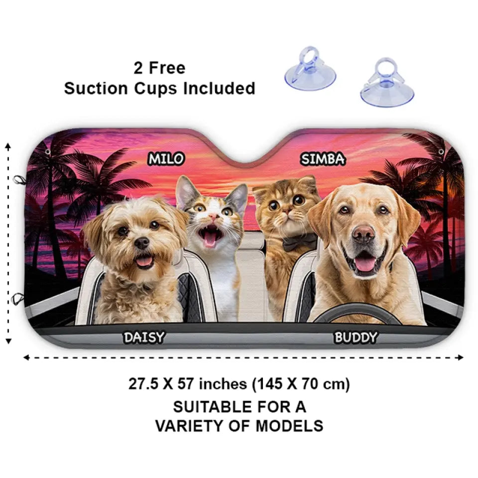 BC-PHOTO-PET-HA-MOCKUP-4-1A8AD