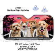 BC-PHOTO-PET-HA-MOCKUP-4-1A8AD