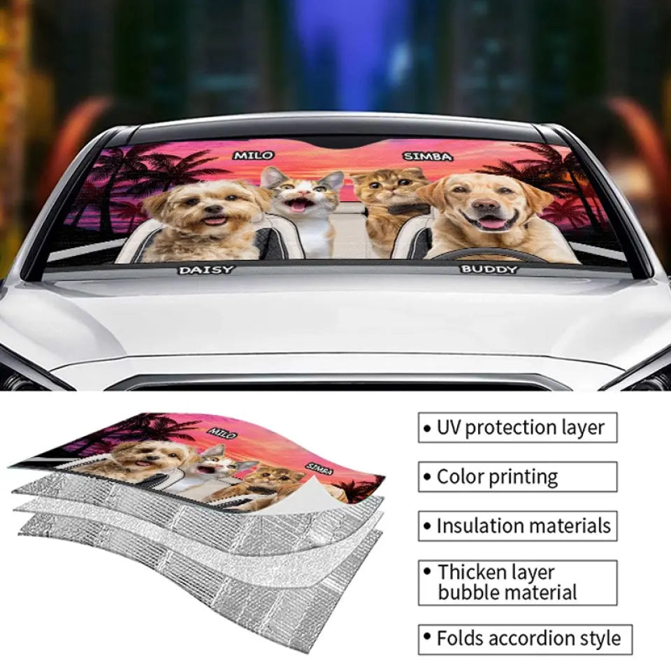BC-PHOTO-PET-HA-MOCKUP-5-30A57