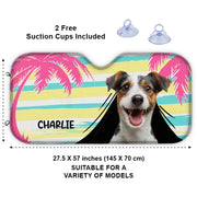 BC-PHOTO-PETS-U-MOCKUP-4-172FB