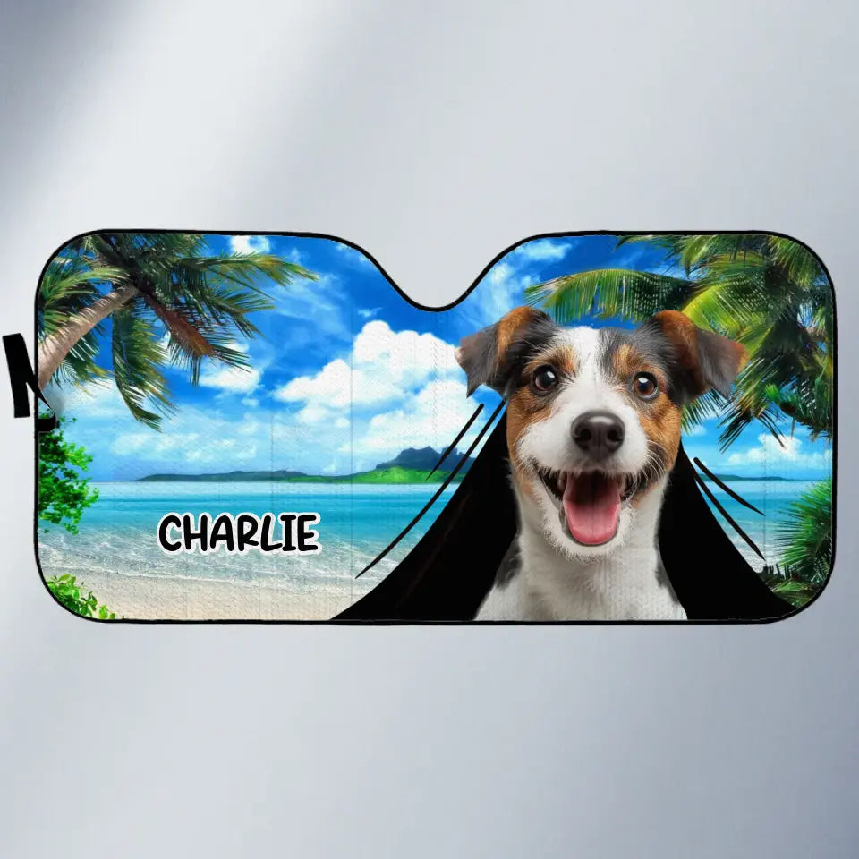 BC-PHOTO-PETS-A-MOCKUP-3-33A0A