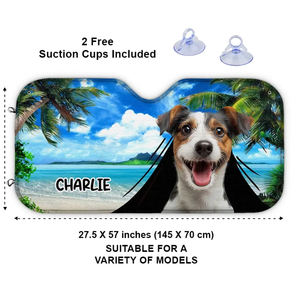 BC-PHOTO-PETS-A-MOCKUP-4-7D2B4