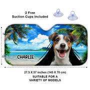 BC-PHOTO-PETS-A-MOCKUP-4-7D2B4