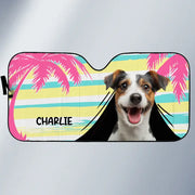 BC-PHOTO-PETS-U-MOCKUP-3-B5167