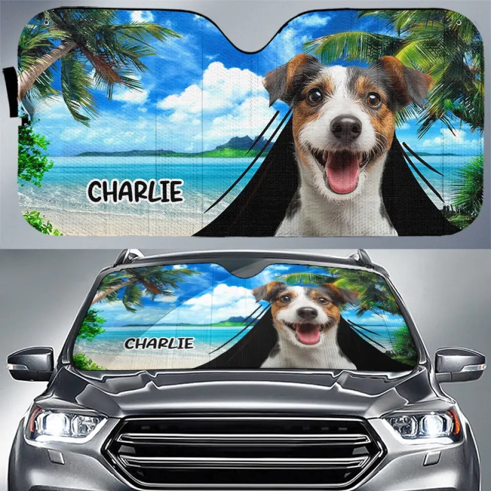 BC-PHOTO-PETS-A-MOCKUP-2-A4ADE