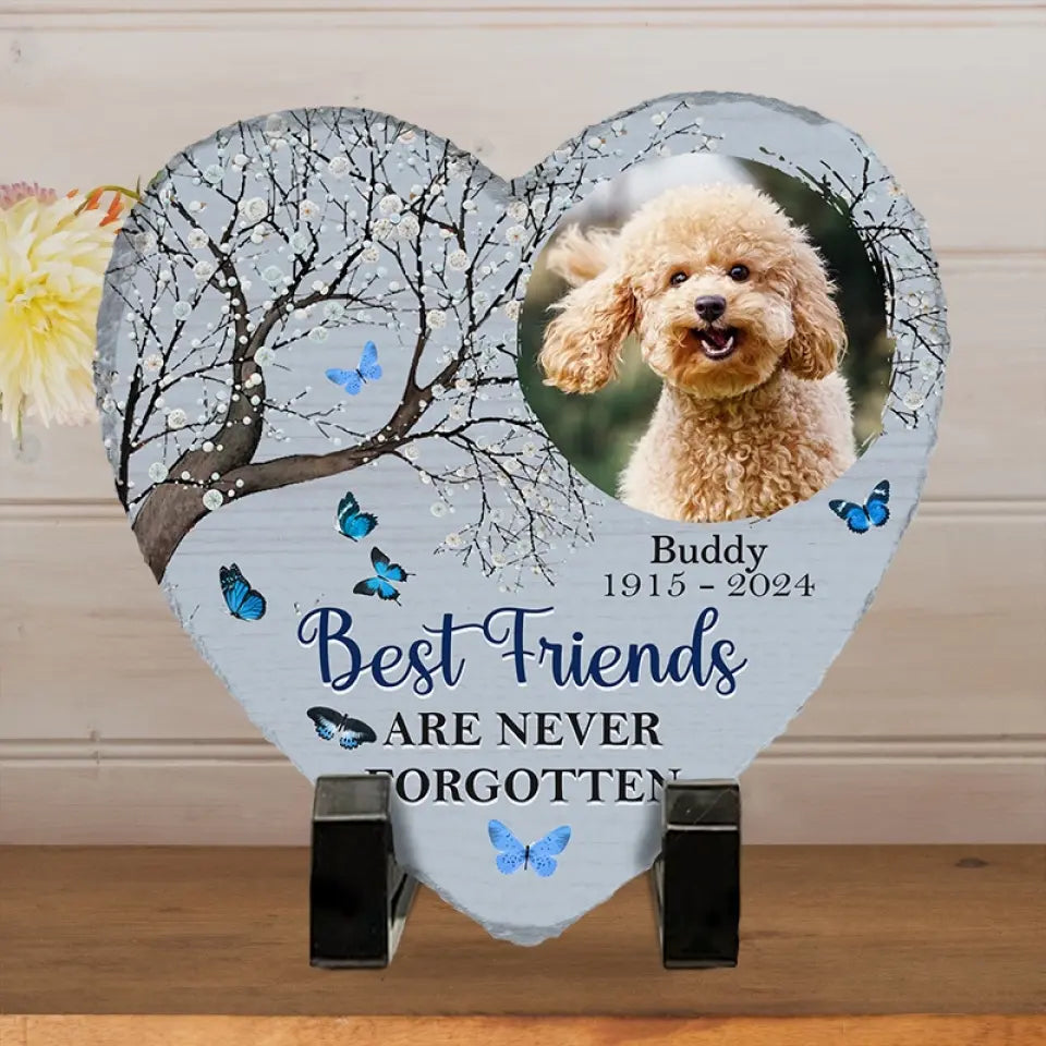 BC-PHOTO-YOU-WE-MOCKUP-5-A5233