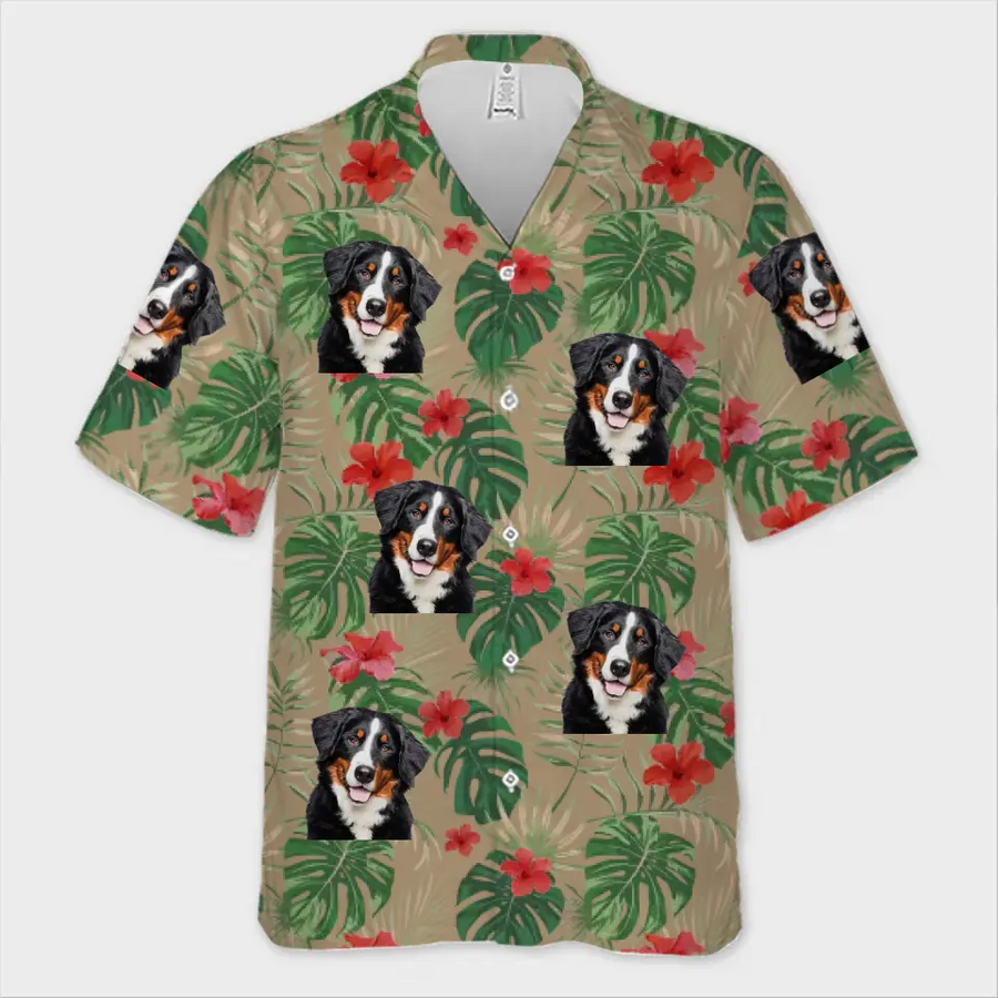 BC-COLORFUL-TRO-MOCKUP-2-0879B