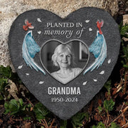 BC-PHOTO-PLANTE-MOCKUP-6-53AC0