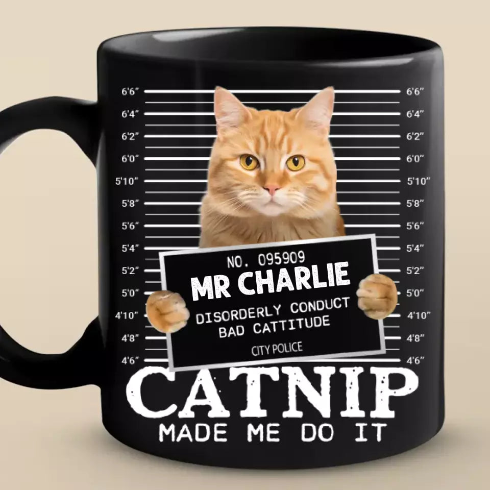 BC-PHOTO-FURRY--MOCKUP-3-32D7D