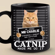 BC-PHOTO-FURRY--MOCKUP-3-32D7D