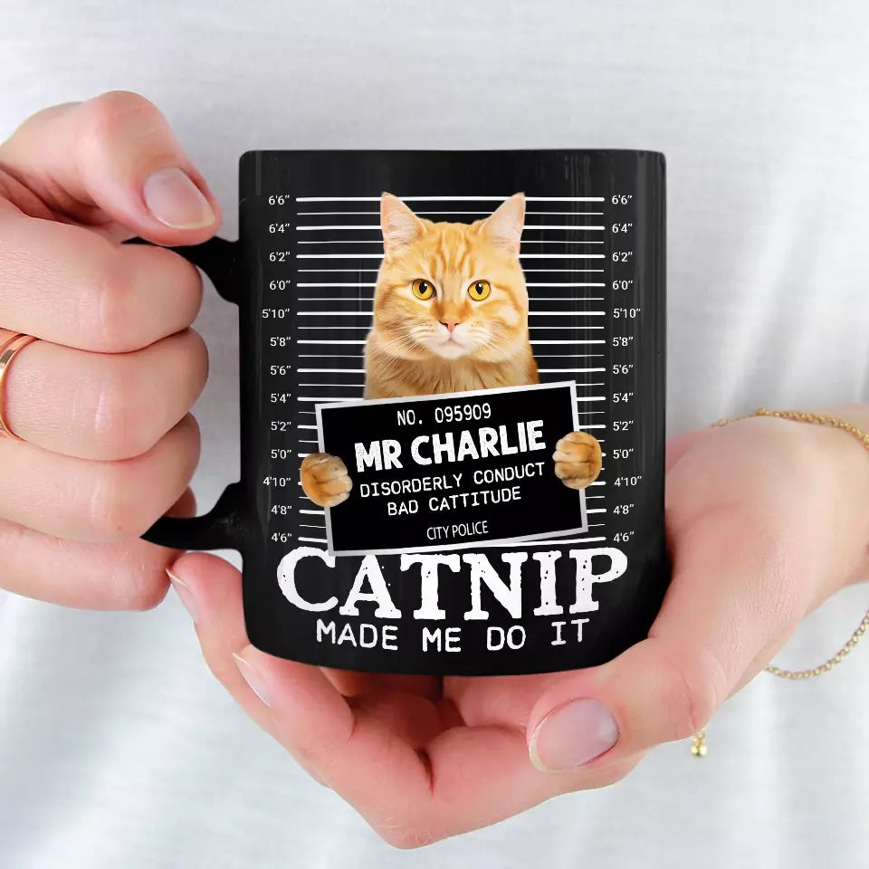 BC-PHOTO-FURRY--MOCKUP-4-9B551