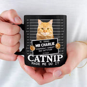 BC-PHOTO-FURRY--MOCKUP-4-9B551