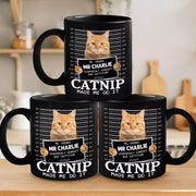 BC-PHOTO-FURRY--MOCKUP-5-F860A