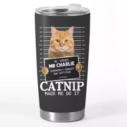 BC-PHOTO-CATNIP-MOCKUP-3-76B0C