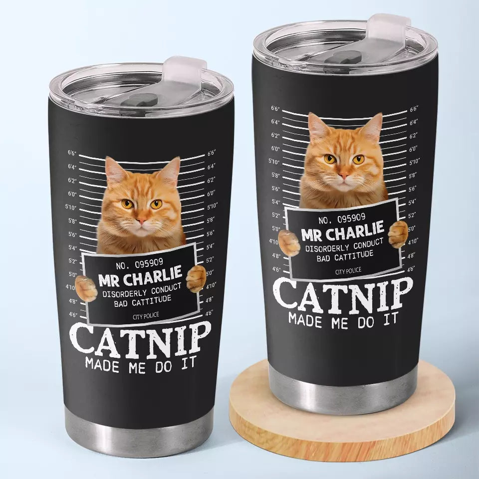 BC-PHOTO-CATNIP-MOCKUP-2-C4B45