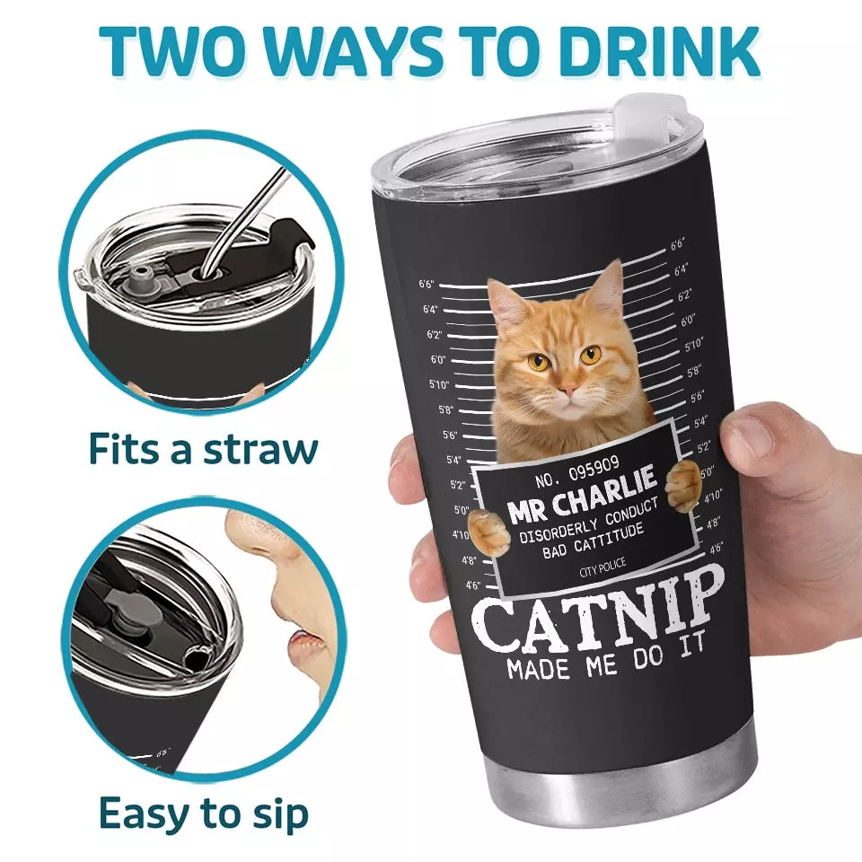 BC-PHOTO-CATNIP-MOCKUP-5-F9539