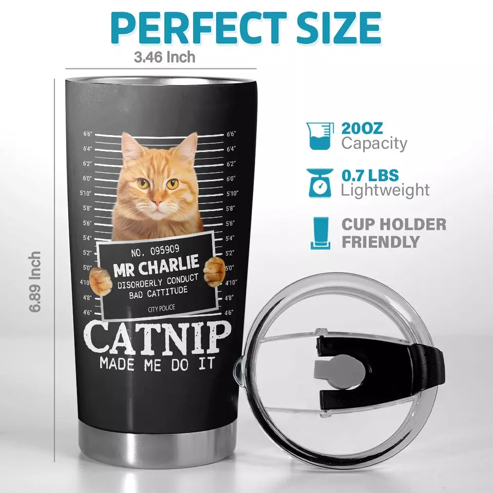 BC-PHOTO-CATNIP-MOCKUP-4-7D39B