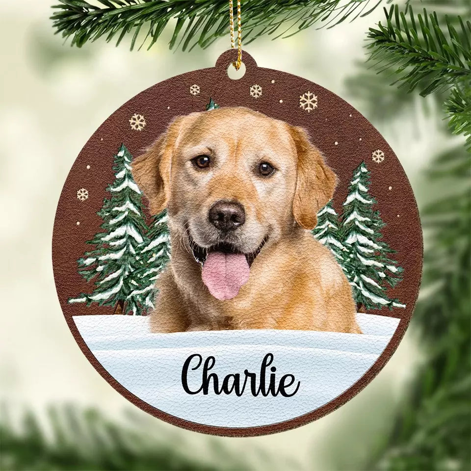 BC-PHOTO-DOGS-L-MOCKUP-2-636CE