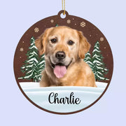 BC-PHOTO-DOGS-L-MOCKUP-3-BFF49