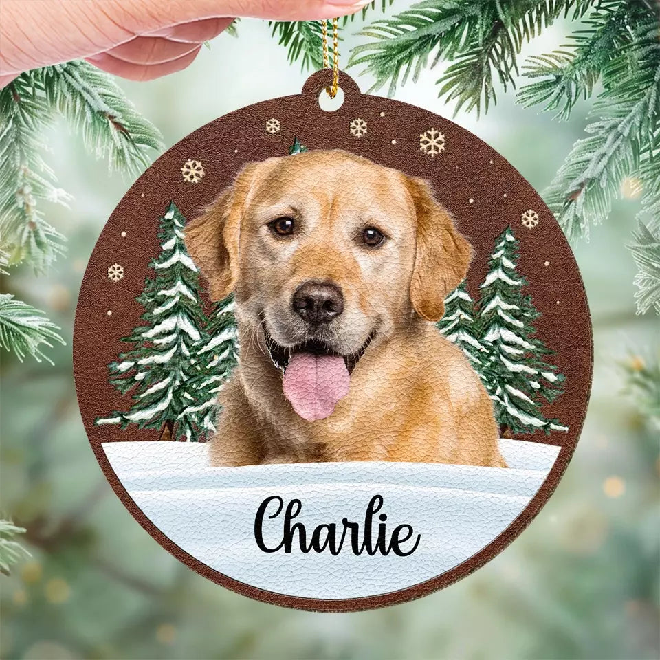 BC-PHOTO-DOGS-L-MOCKUP-4-98961