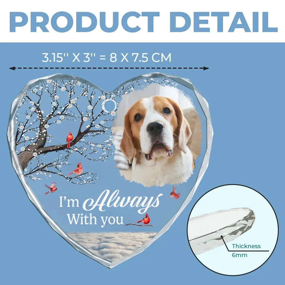 BC-PHOTO-WERE-A-MOCKUP-6-AC275