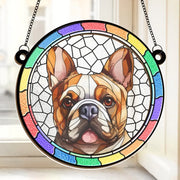 BC-PHOTO-A-DOG--MOCKUP-2-EB2E9