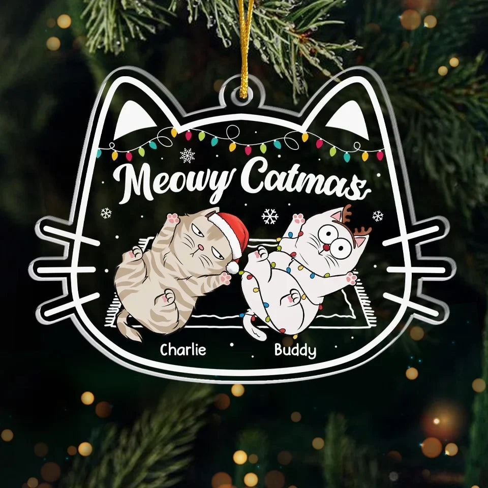 BC-PAWS-REFLECT-MOCKUP-2-81588