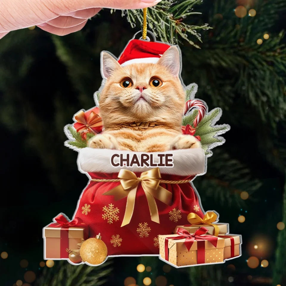BC-PHOTO-MY-PET-MOCKUP-5-8CED2