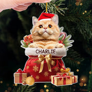 BC-PHOTO-MY-PET-MOCKUP-5-8CED2