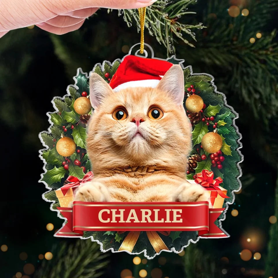 BC-PHOTO-MAY-YO-MOCKUP-5-4280A