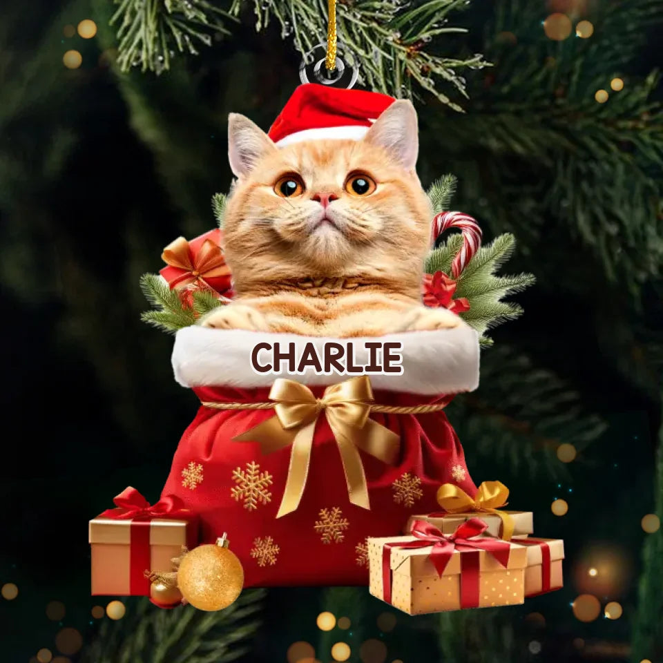 BC-PHOTO-MY-PET-MOCKUP-3-1D864