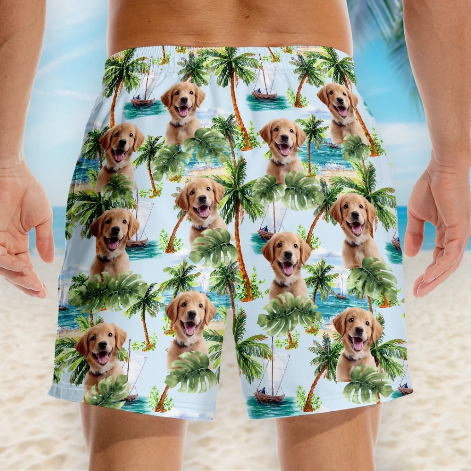 BC-PHOTO-PAWS-P-MOCKUP-4-FAE4C