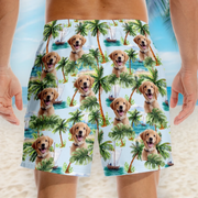 BC-PHOTO-PAWS-P-MOCKUP-4-FAE4C