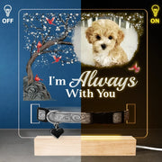 BC-PHOTO-IM-ALW-MOCKUP-5-8889D
