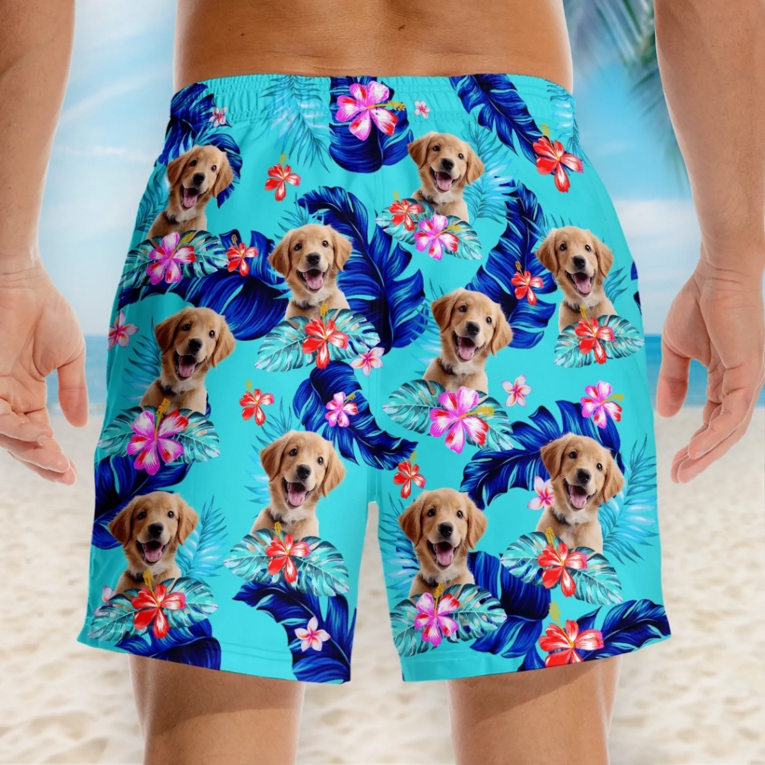 BC-PHOTO-PAWS-O-MOCKUP-3-CE412