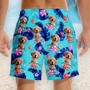 BC-PHOTO-PAWS-O-MOCKUP-3-CE412