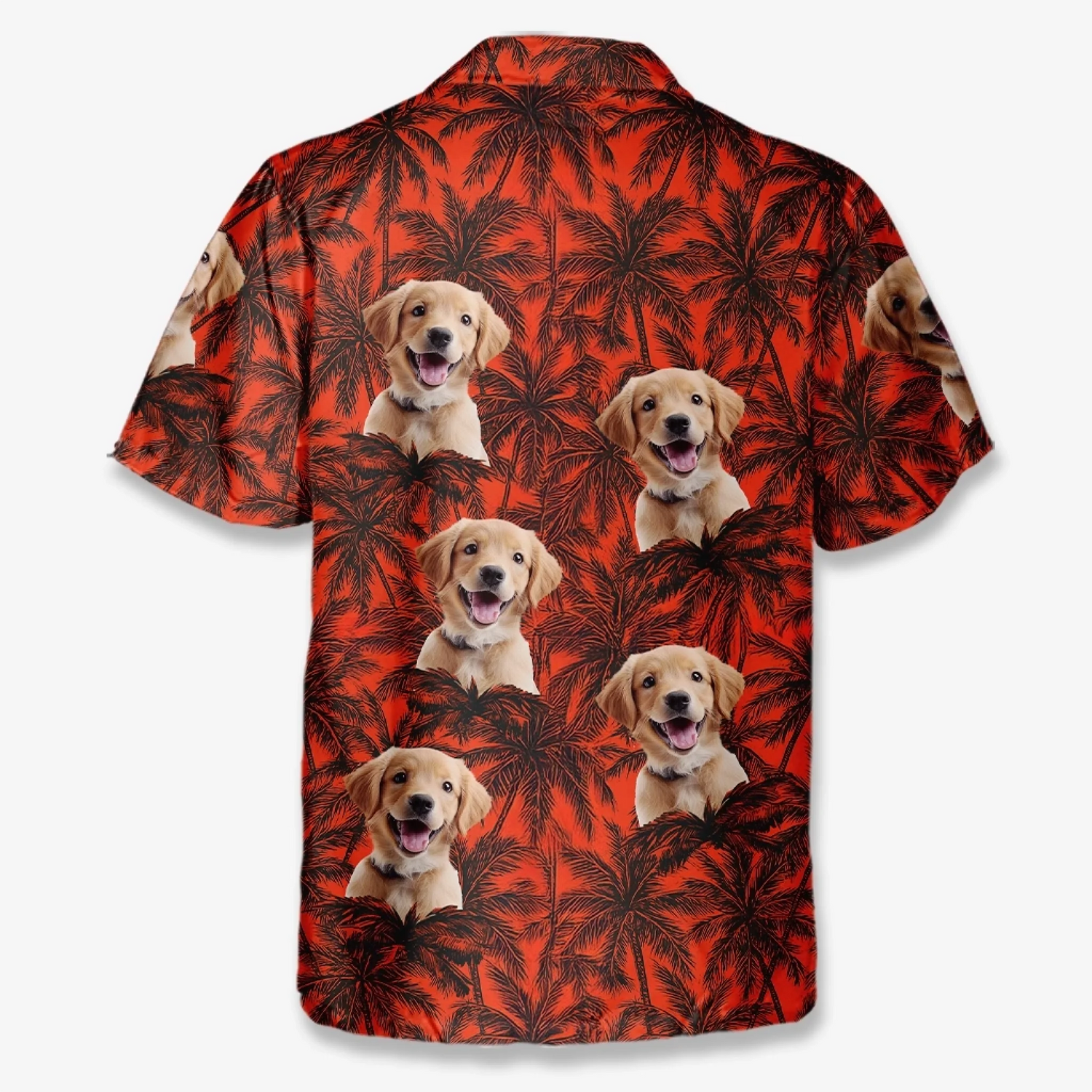 BC-PHOTO-PAWS-P-MOCKUP-7-F170D
