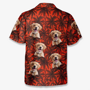 BC-PHOTO-PAWS-P-MOCKUP-7-F170D