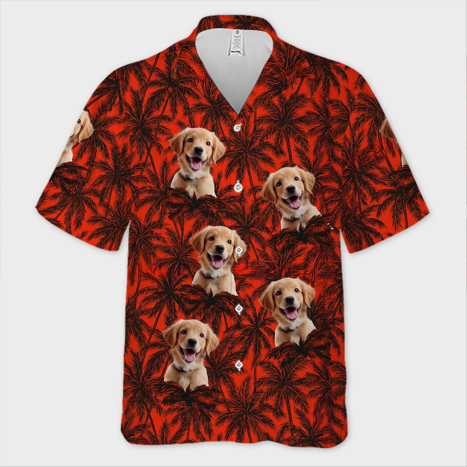BC-PHOTO-PAWS-P-MOCKUP-3-F6069