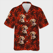 BC-PHOTO-PAWS-P-MOCKUP-3-F6069